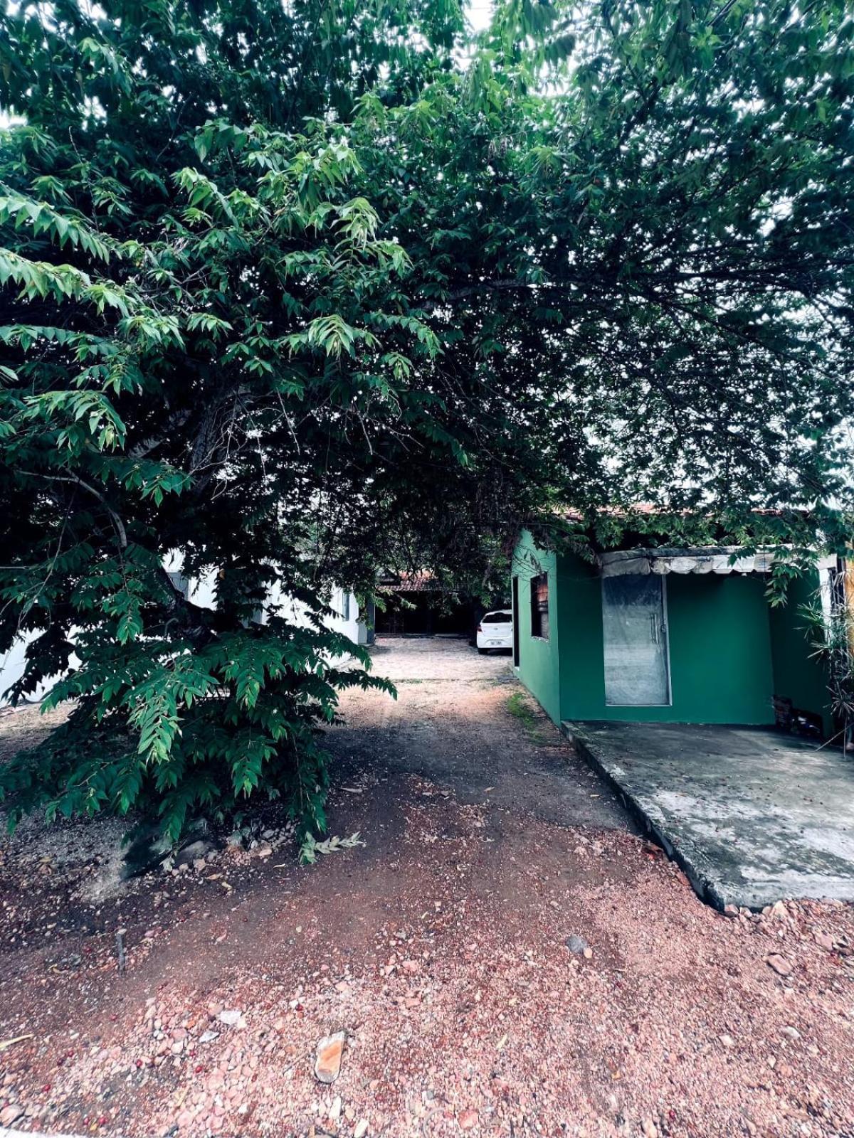 Appartement Casa Tamboril à São Jorge Extérieur photo